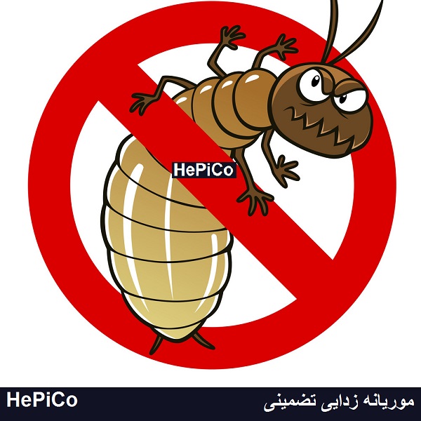 موریانه بلای خانمان خراب